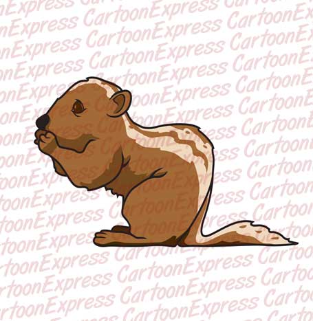 chipmunk